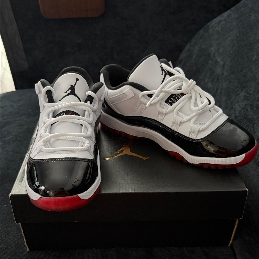 Air Jordan retro Low Black and White Sneakers